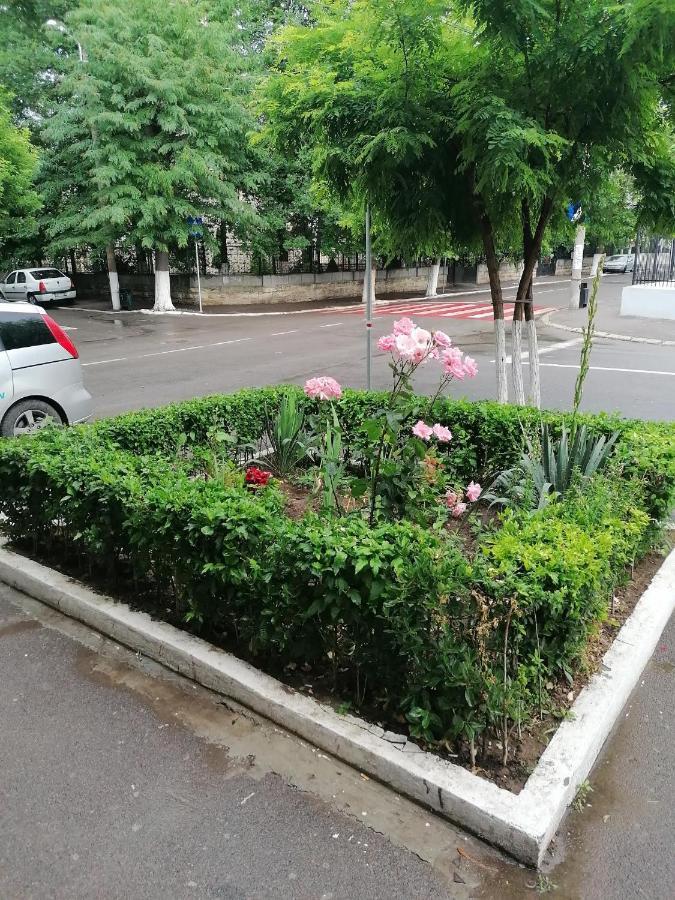 Appartamento MARA Studio Constanţa Esterno foto